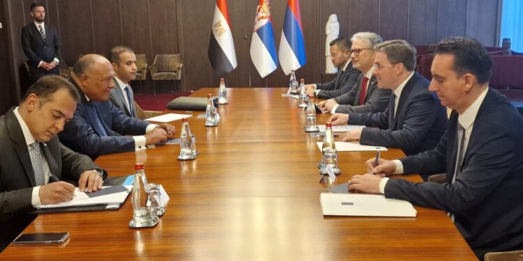 Choucri se réunit avec son homologue serbe 1 - Le Progrès Egyptien