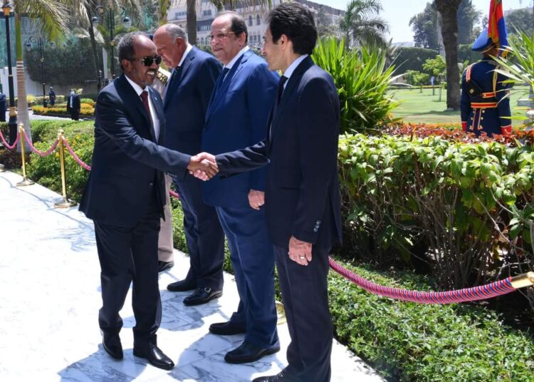 Al-Sissi accueille son homologue somalien au Caire (Photos)