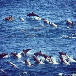 Sans-titre 3 - Le Progrès Egyptien