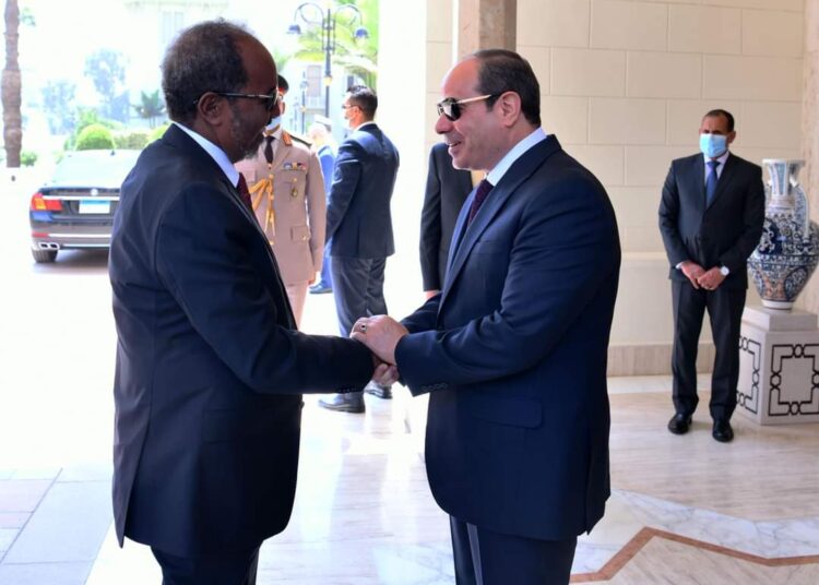 Al-Sissi accueille son homologue somalien au Caire (Photos)