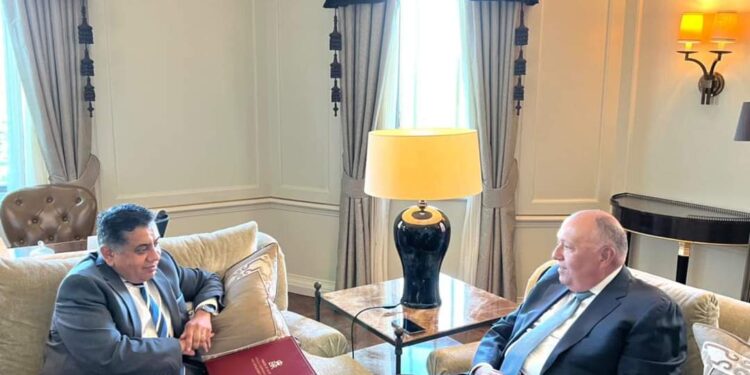 Choucri souligne l'importance du lancement du Conseil d'association entre l’Égypte et la GB 1 - Le Progrès Egyptien