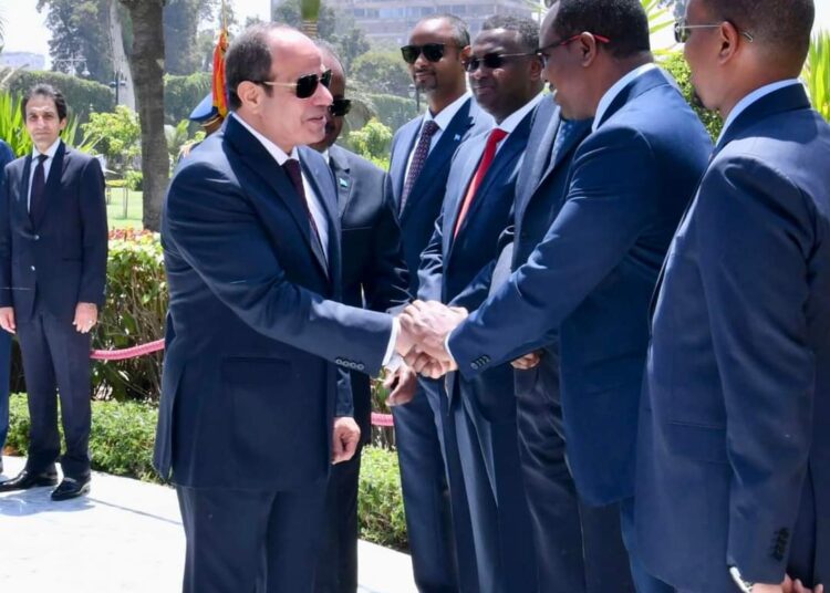 Al-Sissi accueille son homologue somalien au Caire (Photos)