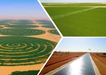 Agriculture : L’Egypte sur la voie de l’autosuffisance…