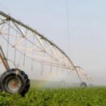 Agriculture : L’Egypte sur la voie de l’autosuffisance… 9 - Le Progrès Egyptien