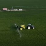 Agriculture : L’Egypte sur la voie de l’autosuffisance… 13 - Le Progrès Egyptien