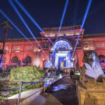 Musée égyptien : Coup de pinceau 5 - Le Progrès Egyptien