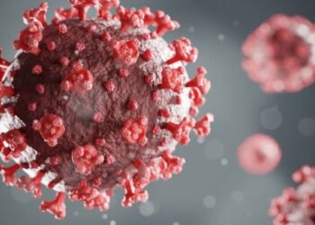 OMS : Le Covid-19 est loin d’être terminé