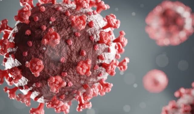 OMS : Le Covid-19 est loin d’être terminé 1 - Le Progrès Egyptien