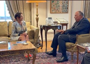 Choucri s’entretient avec l’ancienne ministre française de L’Environnement