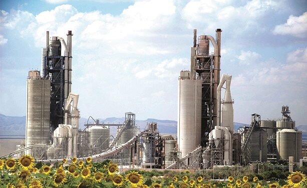 Vicat Ciment… 20 ans de succès sur le marché égyptien 1 - Le Progrès Egyptien