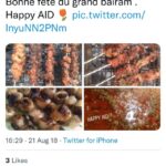 C’est la Fête ! 17 - Le Progrès Egyptien