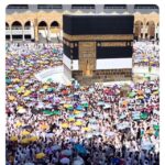 C’est la Fête ! 11 - Le Progrès Egyptien