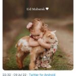 C’est la Fête ! 7 - Le Progrès Egyptien