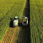 L’agriculture, un secteur de plus en plus robuste 26 - Le Progrès Egyptien L’agriculture, un secteur de plus en plus robuste 25 - Le Progrès Egyptien