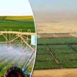 L’agriculture, un secteur de plus en plus robuste 22 - Le Progrès Egyptien L’agriculture, un secteur de plus en plus robuste 21 - Le Progrès Egyptien