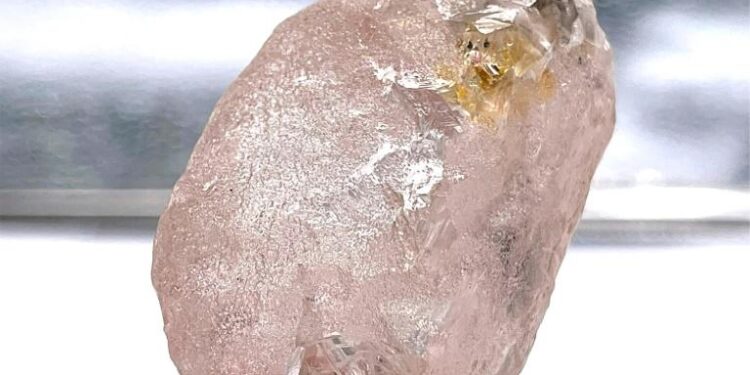 Découverte d’un diamant rose considéré comme le plus gros en 300 ans 1 - Le Progrès Egyptien