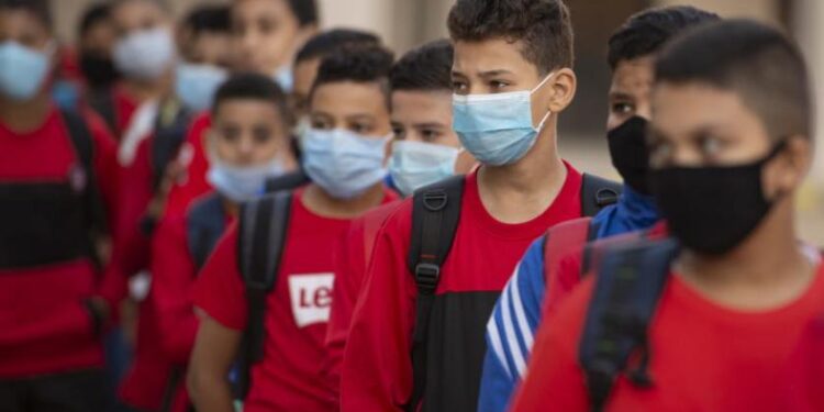 Le chinois, enseigné dans 11 établissements scolaires 1 - Le Progrès Egyptien