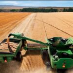 L’agriculture, un secteur de plus en plus robuste 20 - Le Progrès Egyptien L’agriculture, un secteur de plus en plus robuste 19 - Le Progrès Egyptien