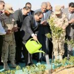 L’agriculture, un secteur de plus en plus robuste 16 - Le Progrès Egyptien L’agriculture, un secteur de plus en plus robuste 15 - Le Progrès Egyptien