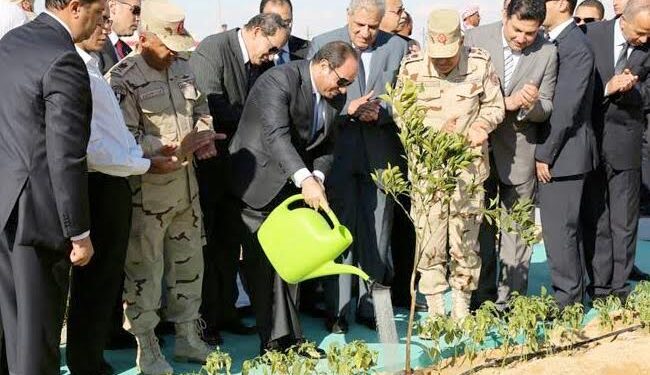 L’agriculture, un secteur de plus en plus robuste 2 - Le Progrès Egyptien L’agriculture, un secteur de plus en plus robuste 1 - Le Progrès Egyptien