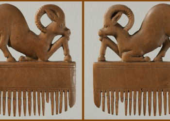 Un visage du passé : Fernand Bisso de La Roque