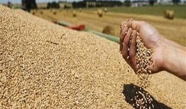 SIG : Pas de pénurie de denrées alimentaires 1 - Le Progrès Egyptien