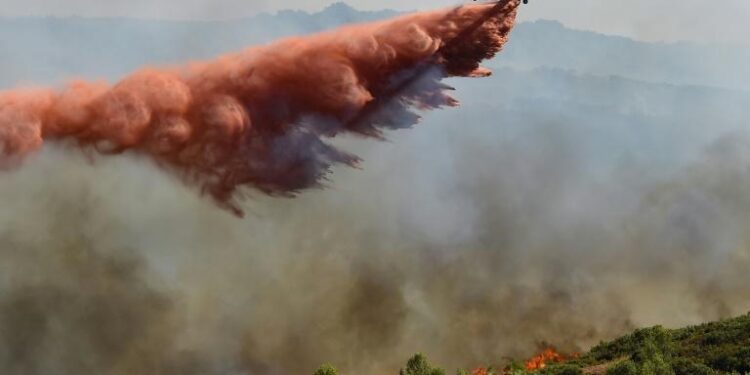 France - Incendie dans l’Hérault : Le feu “ne progresse plus” 1 - Le Progrès Egyptien