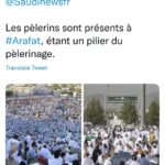 C’est la Fête ! 25 - Le Progrès Egyptien