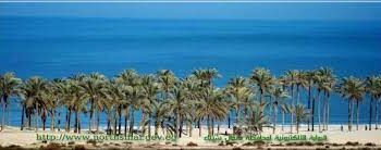 “Tarboule”, le géant de l’industrie nationale du futur