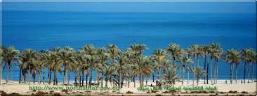 “Tarboule”, le géant de l’industrie nationale du futur 2 - Le Progrès Egyptien “Tarboule”, le géant de l’industrie nationale du futur 1 - Le Progrès Egyptien