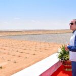 L’agriculture, un secteur de plus en plus robuste 30 - Le Progrès Egyptien L’agriculture, un secteur de plus en plus robuste 29 - Le Progrès Egyptien