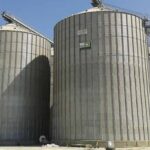 L’agriculture, un secteur de plus en plus robuste 8 - Le Progrès Egyptien L’agriculture, un secteur de plus en plus robuste 7 - Le Progrès Egyptien