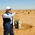 L’agriculture, un secteur de plus en plus robuste 10 - Le Progrès Egyptien L’agriculture, un secteur de plus en plus robuste 9 - Le Progrès Egyptien