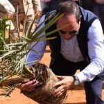 L’agriculture, un secteur de plus en plus robuste 6 - Le Progrès Egyptien L’agriculture, un secteur de plus en plus robuste 5 - Le Progrès Egyptien