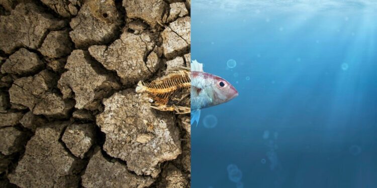 Ramène la nature à sa nature ! 1 - Le Progrès Egyptien