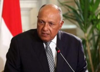 Le président gabonais reçoit Sameh Choucri