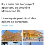 Les tendances phares d’une semaine surchargée 12 - Le Progrès Egyptien Les tendances phares d’une semaine surchargée 11 - Le Progrès Egyptien