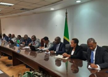 Transport aérien : Examen de  la coopération égypto-tanzanienne