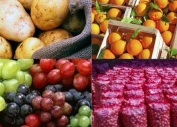 Hausse des exportations agricoles égyptiennes vers la Libye