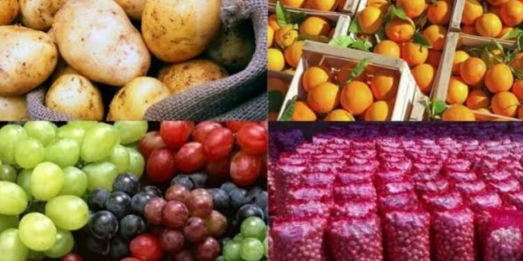 Hausse des exportations agricoles égyptiennes vers la Libye 2 - Le Progrès Egyptien Hausse des exportations agricoles égyptiennes vers la Libye 1 - Le Progrès Egyptien