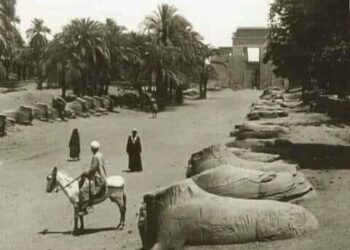L’Allée des béliers              comment était-elle dans le passé ?