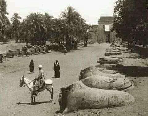L’Allée des béliers comment était-elle dans le passé ? 2 - Le Progrès Egyptien L’Allée des béliers comment était-elle dans le passé ? 1 - Le Progrès Egyptien