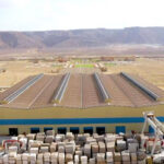 Qui dit économie, dit industrie! 8 - Le Progrès Egyptien Qui dit économie, dit industrie! 7 - Le Progrès Egyptien