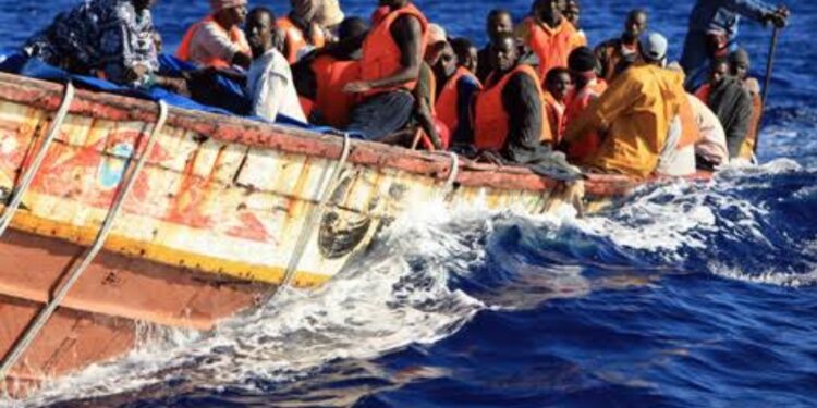 L’Observatoire africain des migrations et le CICR luttent contre la migration en Afrique 2 - Le Progrès Egyptien L’Observatoire africain des migrations et le CICR luttent contre la migration en Afrique 1 - Le Progrès Egyptien