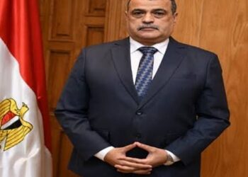 Biographie du nouveau ministre de la production militaire, Mohamed Salah El-Din
