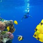 Marsa Alam, un véritable paradis tropical 7 - Le Progrès Egyptien