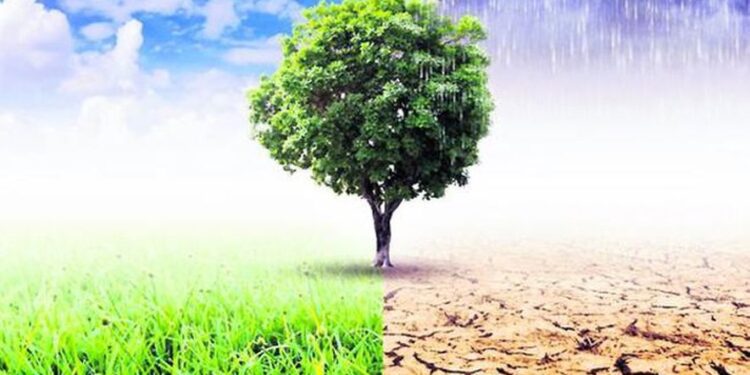 Projets intelligents pour la COP27 1 - Le Progrès Egyptien