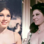 Shwikar, la belle dame de tous les temps 3 - Le Progrès Egyptien