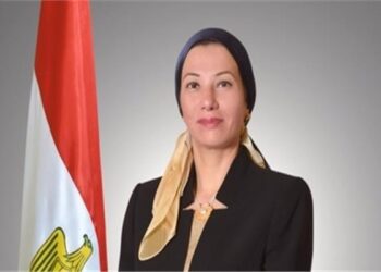 Fouad : La COP27 affirme le rôle de premier plan de l’Egypte sur la scène internationale