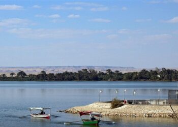 Rétablir l’équilibre écologique du Lac Qaroune